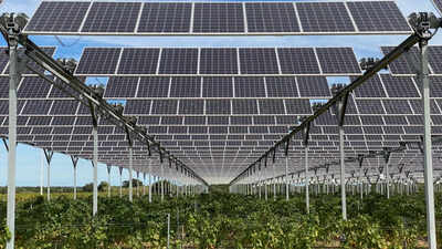 A French winemaker spent €4 million on 6,000 solar panels to protect grapes from heat and hail, but lost the official cognac label