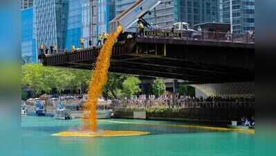 Believe it or not: Quack attack: This isn’t bath time, it's a duck race