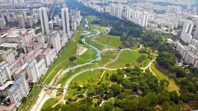 In 2012, Singapore replaced a 2.7 km concrete drainage channel with a 3 km winding river; biodiversity in the park increased by 30%