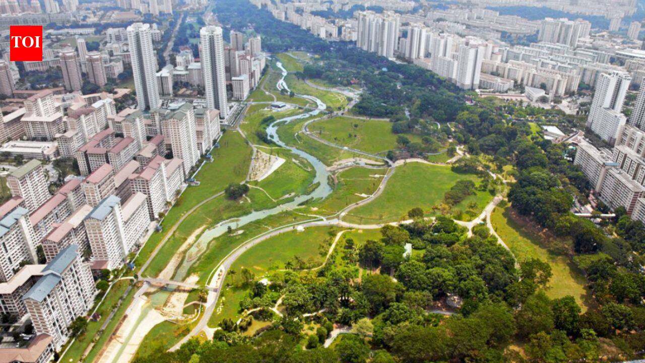 Singapore replaced a 2.7-km concrete canal with a winding river; biodiversity rose 30%