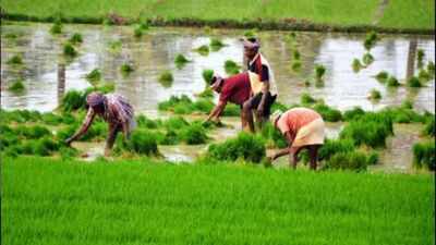 Agriculture Growth in UP: Another Feather in The Cap