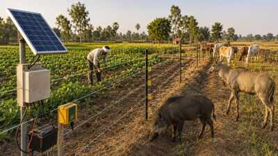 UP Mukhyamantri Khet Suraksha Yojana
