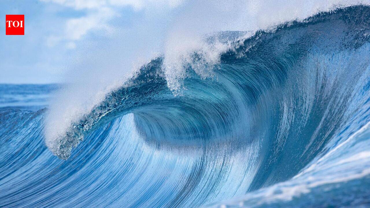 WWF-India Calls Schools to Dive into Nature with Wild Wisdom Global Challenge 2026