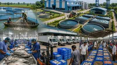 Scheme explainer: The integrated aqua park and state-of-the-art fish wholesale market