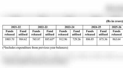 Karnataka received Rs 4,400 crore from Centre under child nutrition schemes