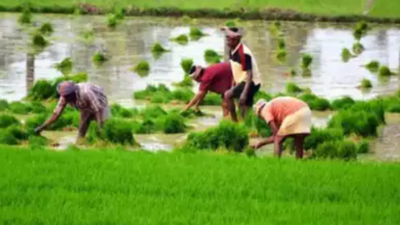 MRK Panneerselvam slams TVK govt over unfulfilled poll promises for farmers; minister Aadhav Arjuna hits back