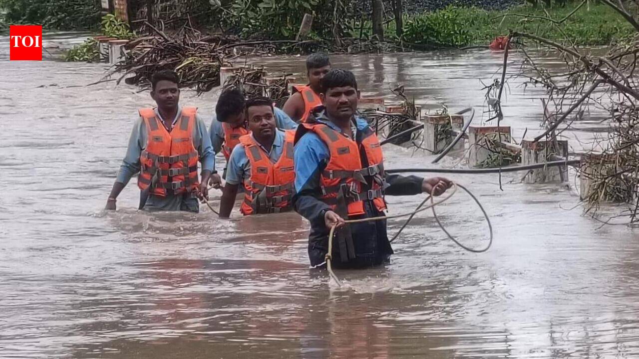 Heavy rains bring monsoon turnaround to MP, Bhopal goes from deficit to surplus
