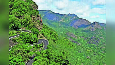 Tamil Nadu Biodiversity Board Fails Statutory Goals, BMCs Inactive