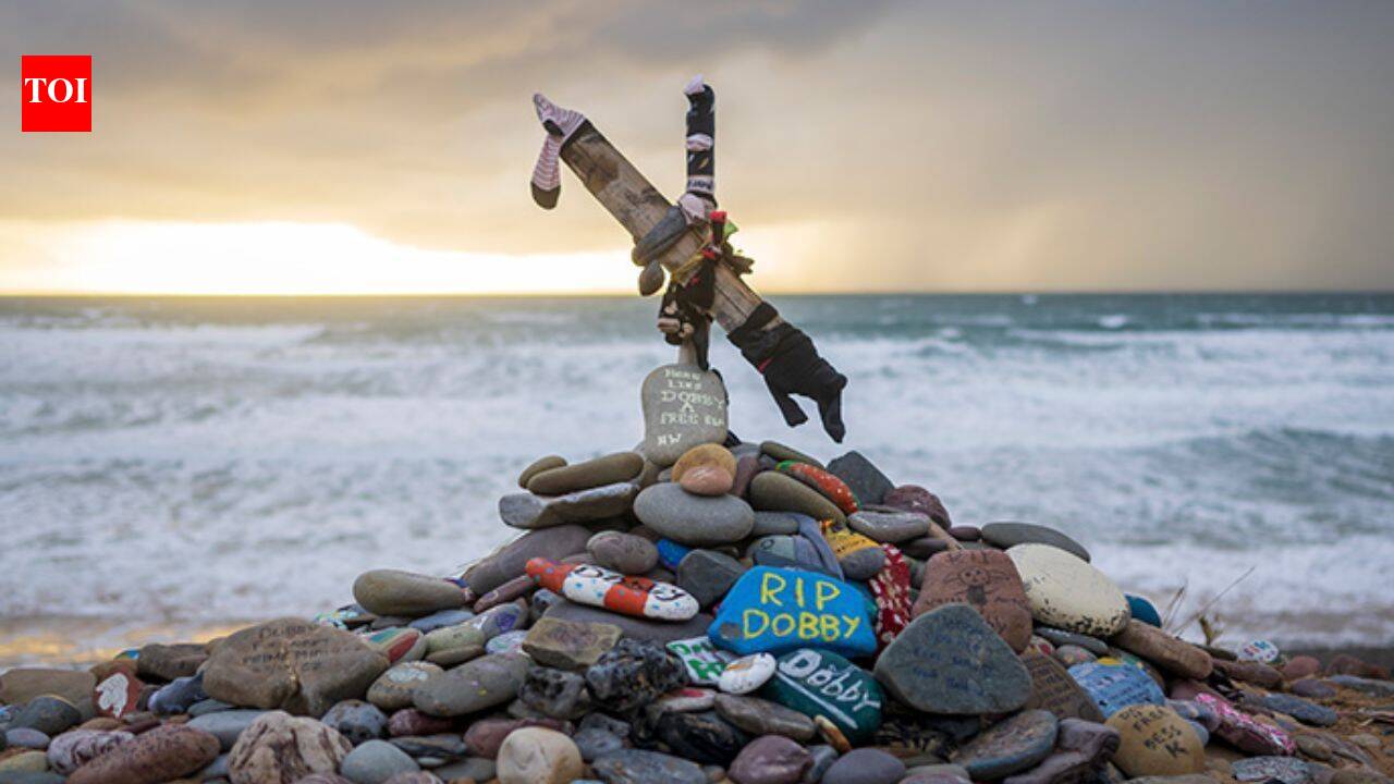 Harry Potter fans get £430m power link between UK, Ireland rerouted to save Dobby’s ‘grave’