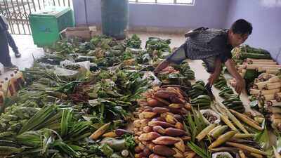 NU study finds 47 non-timber forest products supporting tribal livelihoods
