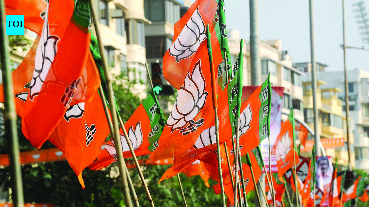 BJP faces internal debate over rotation of ST-reserved seats