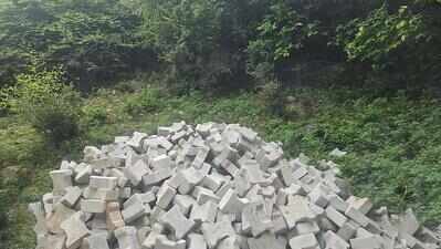 Stop road construction in Mangar Bani: NGT to forest chief