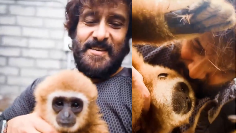 Investigation Launched into Actor Vikram's Encounter with Gibbons