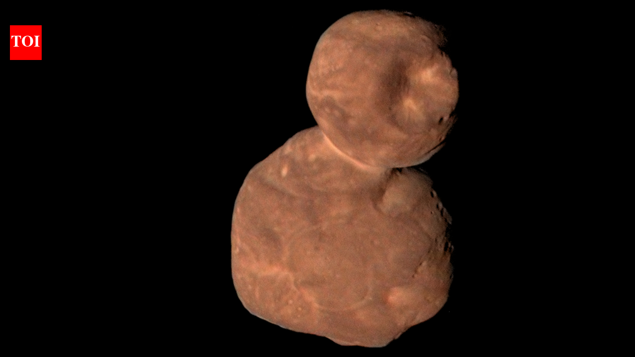 Nasa's New Horizons reached Arrokoth in 2019, revealing the early solar system