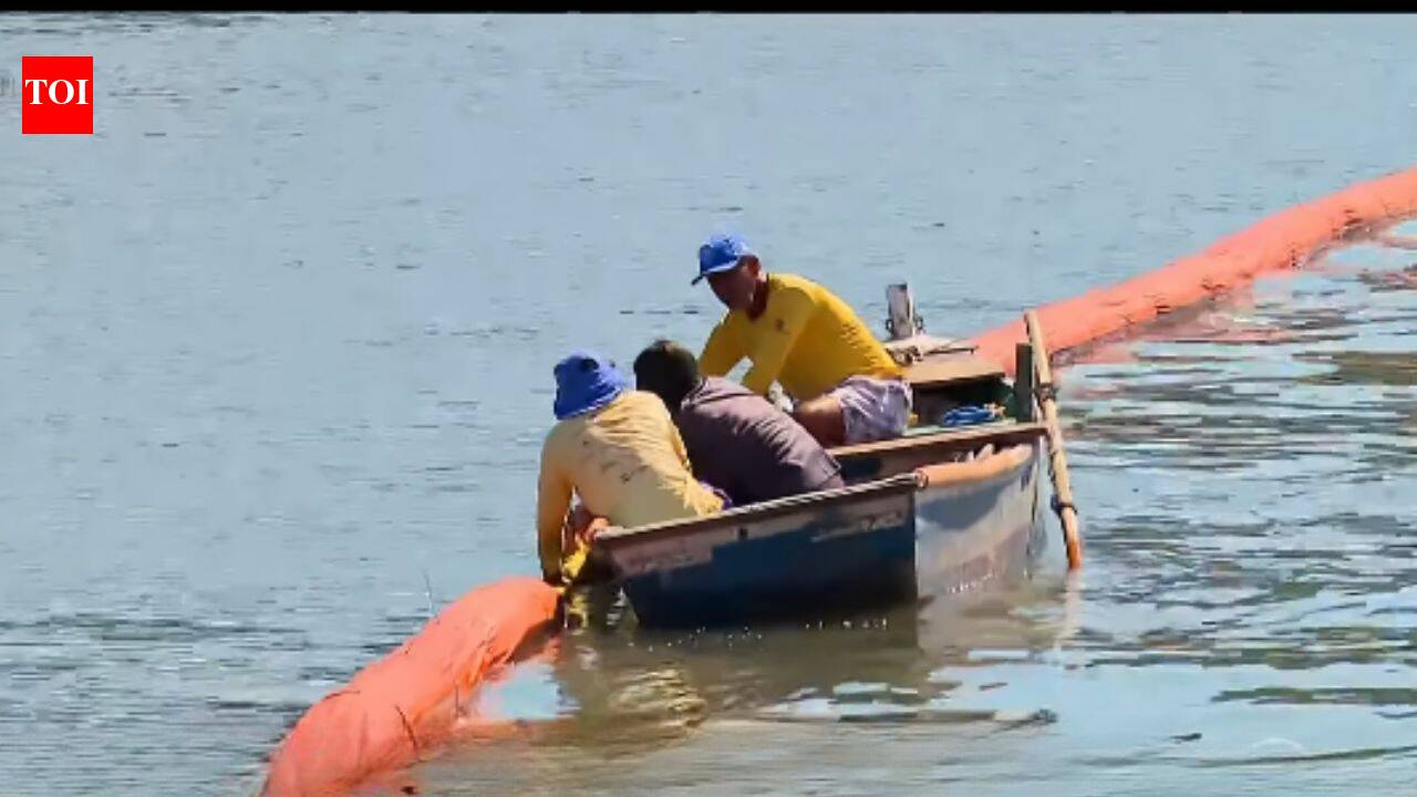 Discarded salon hair is being transformed into an oil-absorbing barrier that protects mangroves from oil spills in Rio de Janeiro