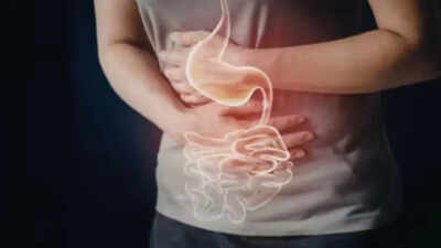 Gut check: Bengaluru doctors link IVF treatment to digestive trouble