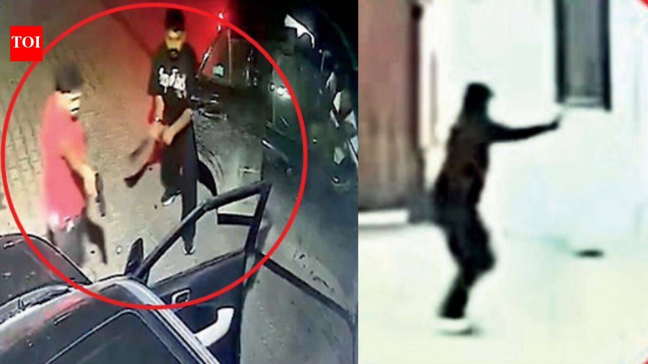 Realtor murder suspect was jailed in Shaurya Chakra awardee killing case