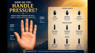 How do you handle pressure? What your finger shape, length, & joints reveal about your daily focus and discipline—Palmistry Secrets