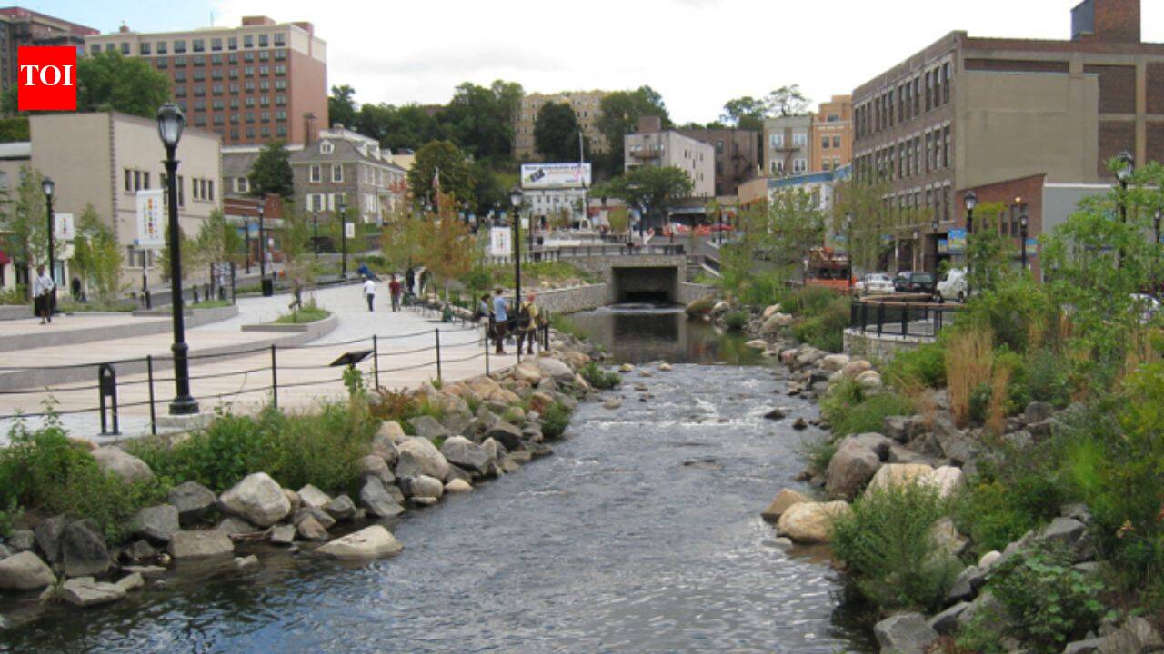A buried river was uncovered in Yonkers; 6 months later, wildlife had a 14,000 sq ft habitat
