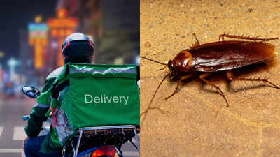 Cockroaches on fruits and veggies: FDA suspends warehouse licence of famous quick-commerce delivery app