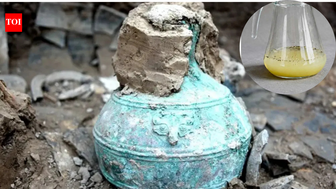 2,300-year-old beer, well preserved inside an ancient bronze bottle containing nearly a gallon of liquid with more than 2,400 chemical compounds, was discovered by archaeologists