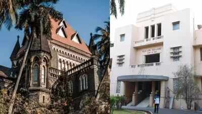 Attendance shortfall: Law students get one-time Bombay high court nod to take exams for academic year 2025-26