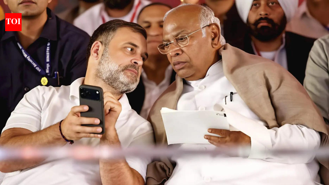 'Portfolios within 24 hours': Rahul, Kharge discuss Karnataka ministry allocation