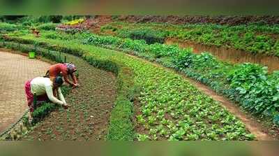 Ooty Botanical Garden getting ready for second tourist season