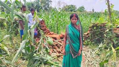 Herd of 24 elephants damages crops, irrigation infrastructure in Hazaribag village