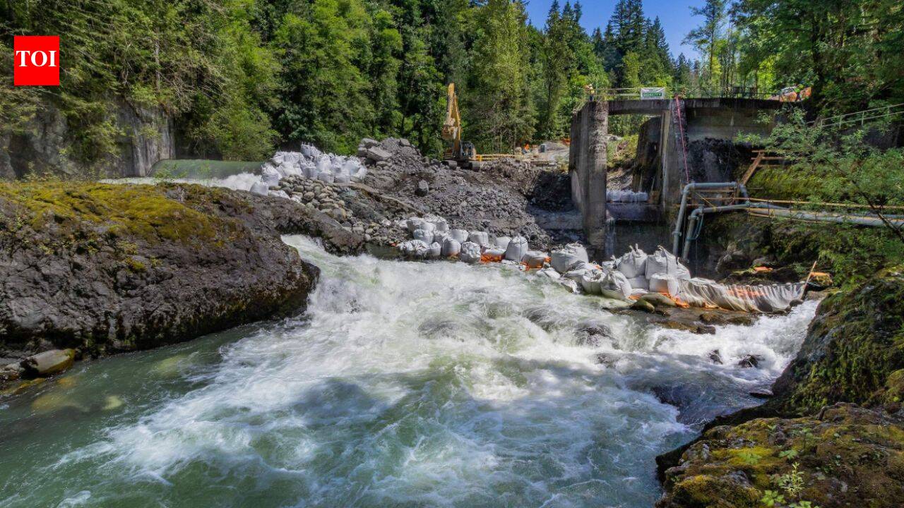 US removed 100 outdated dams in 2025, reconnecting more than 4,893 river miles across 30 states
