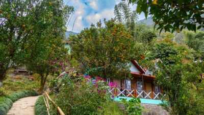 On a Kashmir rooftop in Shopian, one farmer is growing a whole farm's worth of food