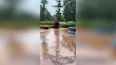 Blocked drainage vents led to waterlogging at Lalbagh, says horticulture department
