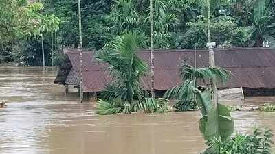 Hill torrents, not the B’putra, unleashed floods on Assam: Study