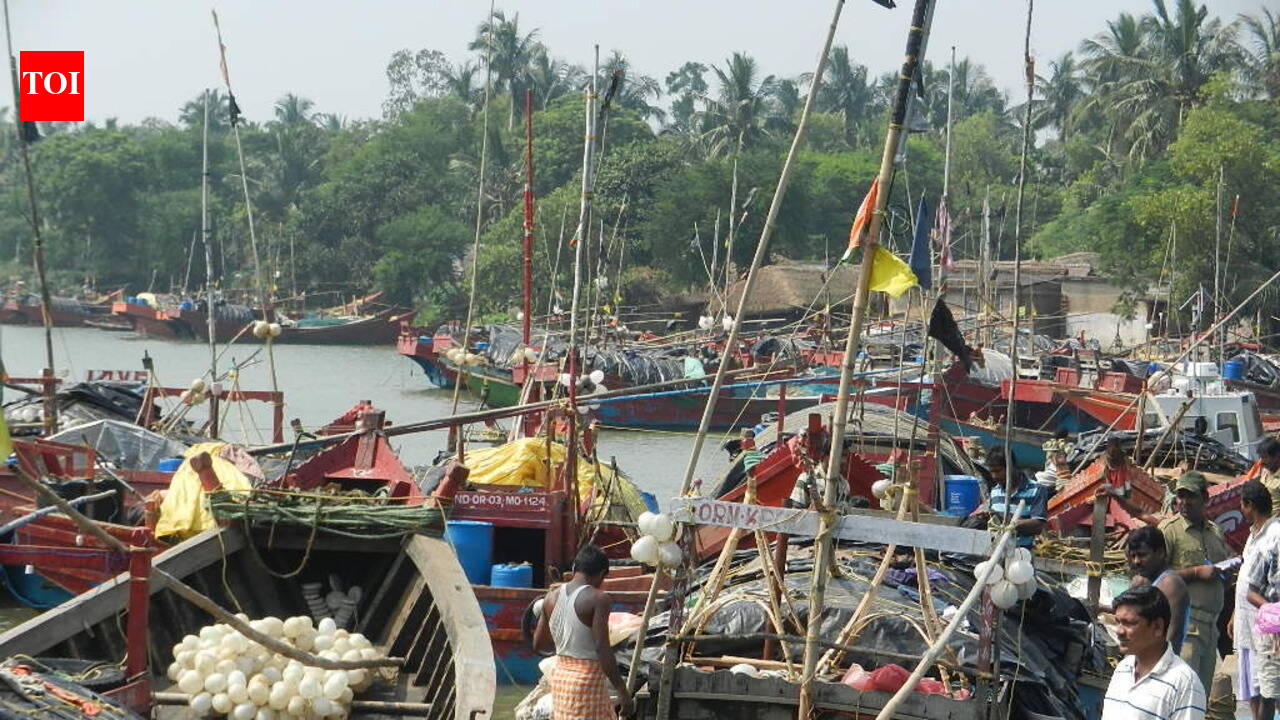 Nerul fisherman drowns off Sinquerim | Goa News  timesofindia.indiatimes.com