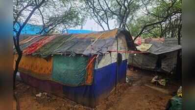 2 acres encroached in Mangar Bani buffer, makeshift hutments come up