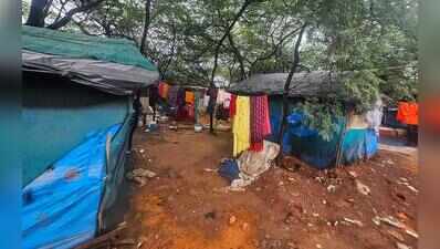 2 acres encroached in Mangar Bani buffer, makeshift hutments come up