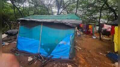 2 acres encroached in Mangar Bani buffer, makeshift hutments come up