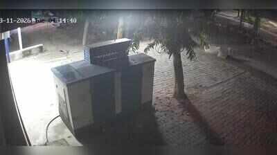 Biker hits cow sitting in middle of the road in Gurgaon, killed