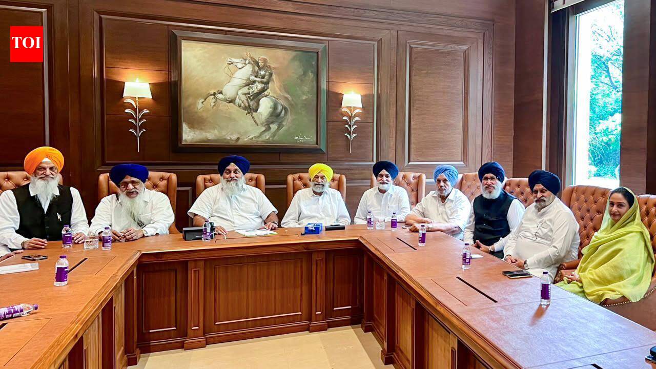 SAD-BJP thaw gets cadres’ backing, but Sikh apprehensions remain