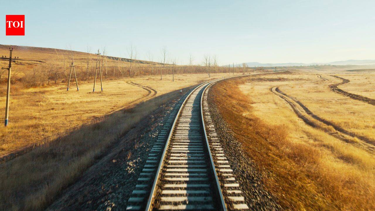 https://static.toiimg.com/thumb/msid-133168949,width-1280,height-720,resizemode-6,overlay-toi_sw,pt-32,y_pad-600/photo.jpg