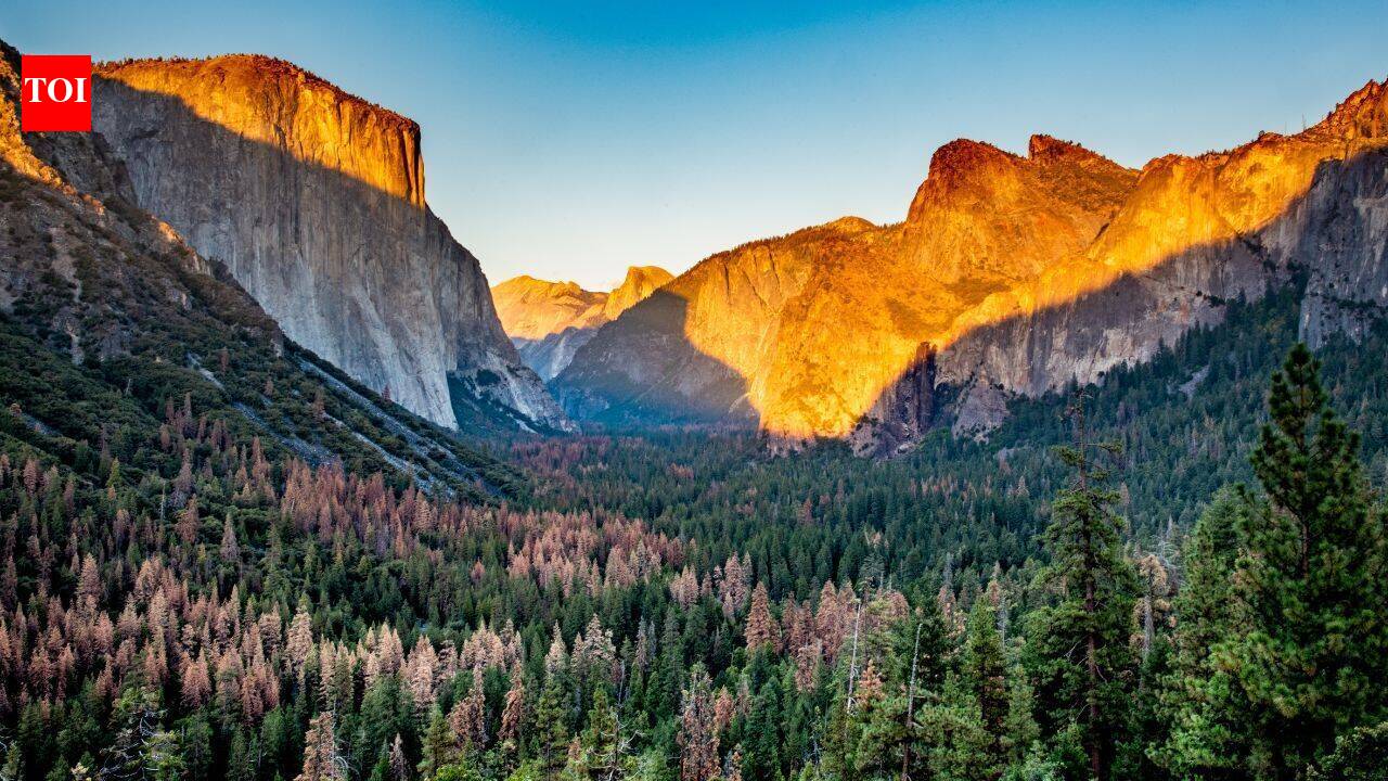 Yosemite’s disappearing wetlands get massive restoration after 100 years