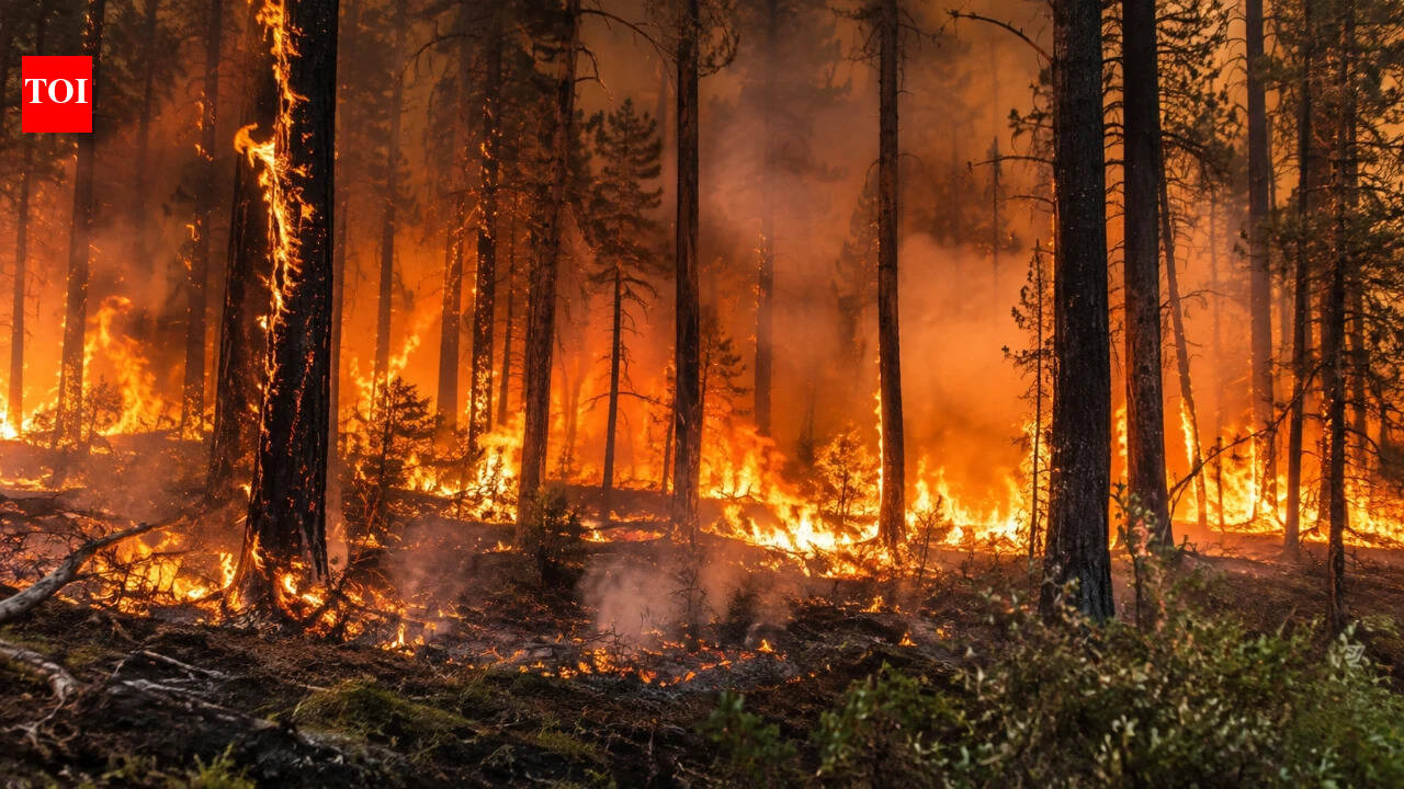 In 1871, Wisconsin’s Peshtigo Fire killed more than 1,200 people as Chicago burned, becoming the deadliest wildfire in US history