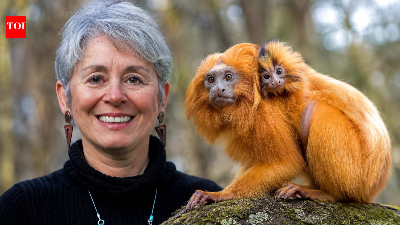Brazil’s R$20 tamarin nearly vanished; zoologist Devra Kleiman helped save it
