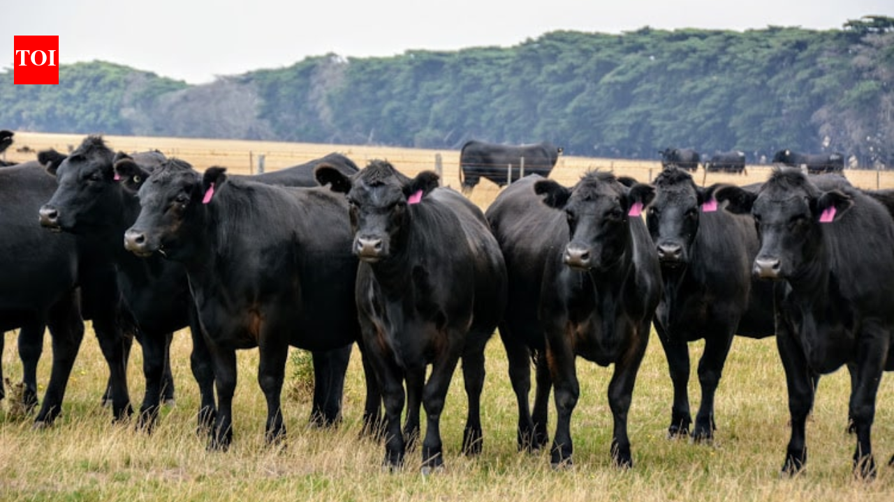 One-third of global farmland accounts for about two-thirds of agriculture-linked biodiversity