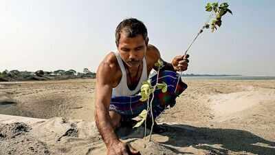 Jadav “Molai” Payeng: How one man turned a barren Brahmaputra sandbar into a thriving forest
