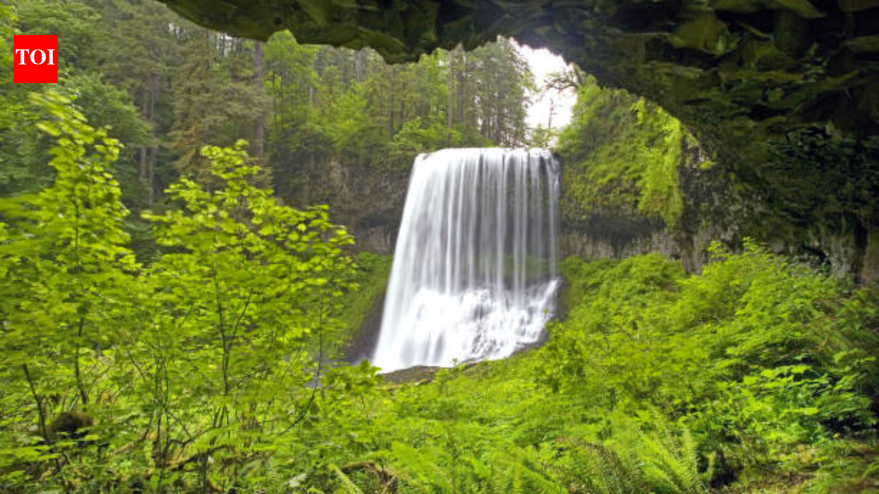 20-year-old tourist dies in US after falling from 170-feet waterfall while posing for photos