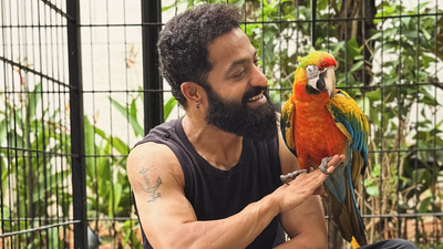 Jr NTR health update: ‘Dragon’ actor thanks fans after successful surgery, says, ‘I’m doing well, see you soon!’