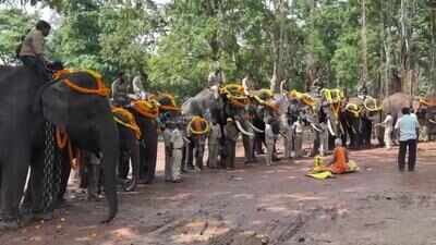 Subdued Elephant Day celebrations at Sakrebailu