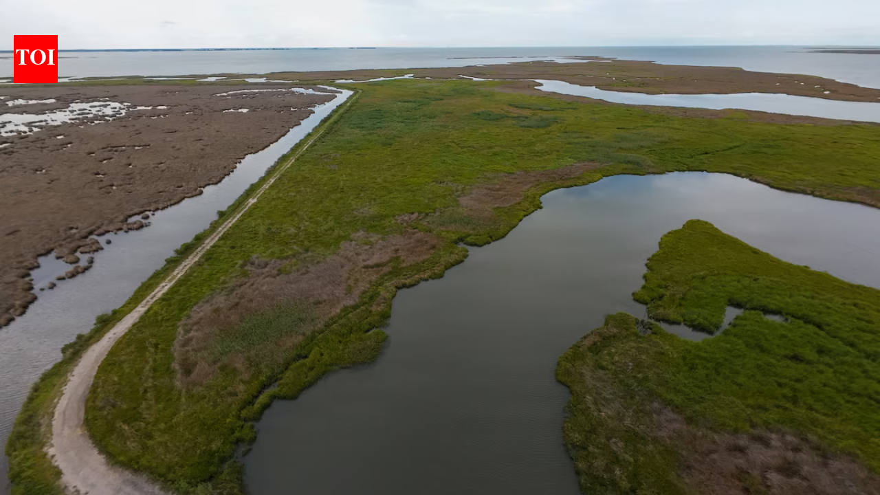 A $13.5 million Maryland project turned dredged sand, silt and shell into roughly 70 acres