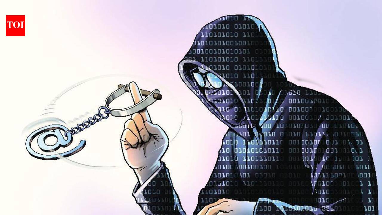 Illegal call centre busted in Sector V